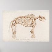  mamoth-illustratie poster (Voorkant)