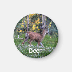 Man Deer (Buck) en Clover Wildlife Animal Magneet