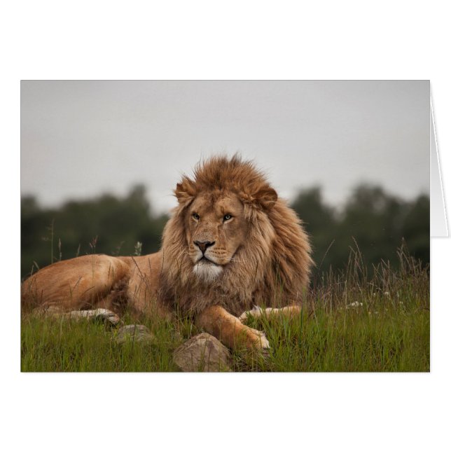 Man is een lange dag (Voorkant Horizontaal)