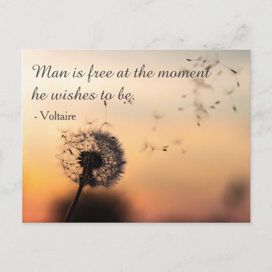 Man is gratis Voltaire Quote Briefkaart (Voorkant)