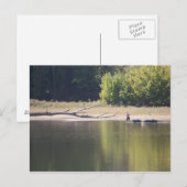 Man, kano, hond en driftwood briefkaart (Voorkant / Achterkant)