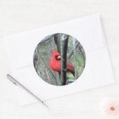 Man Kardinaal Foto Sticker (Envelop)
