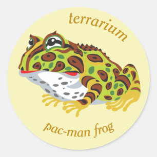 man-kikker met klassieke ronde sticker