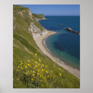 Man o' War-baai, Jurassic Coast, Lulworth, Dorset, Poster