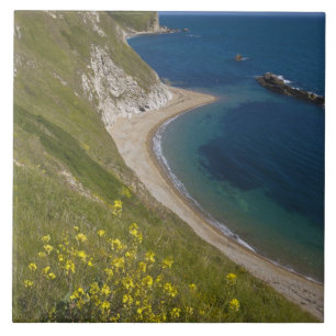 Man o' War-baai, Jurassic Coast, Lulworth, Dorset, Tegeltje