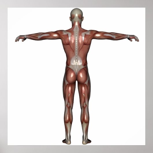 Man poster (Voorkant)