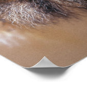 Man Poster (Hoek)