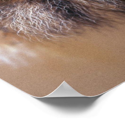 Man Poster (Hoek)