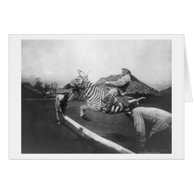 Man Riding Zebra — Afsluitingsfoto (Voorkant Horizontaal)