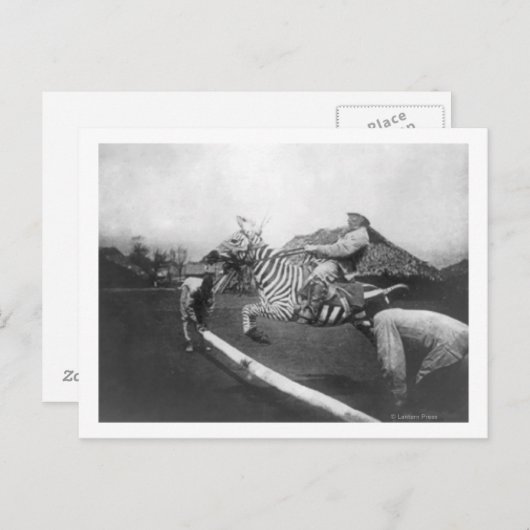 Man Riding Zebra — Afsluitingsfoto Briefkaart (Voorkant / Achterkant)