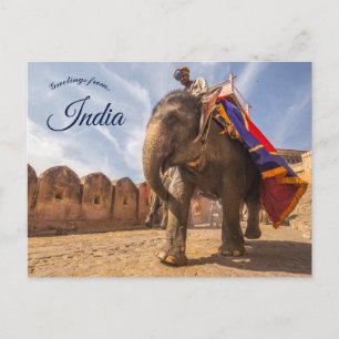 Man rijden olifant bij Amber Palace Jaipur Briefkaart