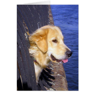 MAN..... WENS IK WEET HOE IK MOET SCHUWEN!