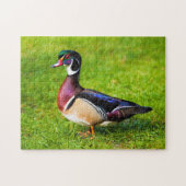 Man Wood Duck op Grass Legpuzzel (Horizontaal)