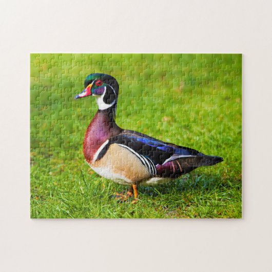 Man Wood Duck op Grass Legpuzzel (Horizontaal)
