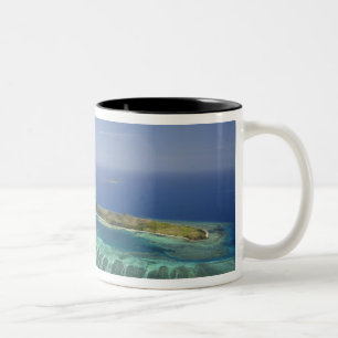 Mana-eiland en koraalrif, Mamanuca-eilanden Tweekleurige Koffiemok