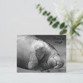Manatee BW0196 "Besoin d'un câlin ?" Carte postale (Debout devant)