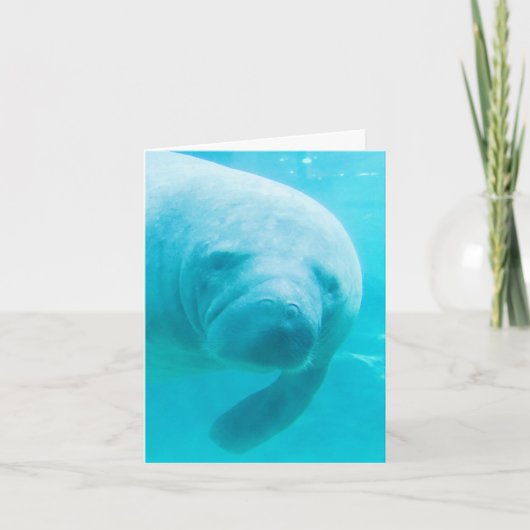 Manatee Digitale Kunst "oh hi" Kaart (Voorkant)