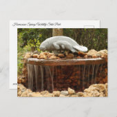 Manatee Fountain Briefkaart (Voorkant / Achterkant)