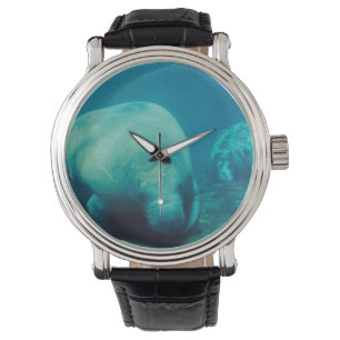 Manatee Horloge