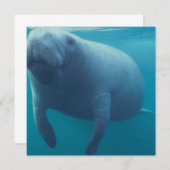 Manatee Invitation Kaart (Voorkant / Achterkant)