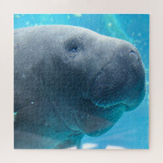 Manatee Legpuzzel (Horizontaal)