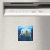 Manatee Magnet Magneet (Insitu (Vaatwasser))