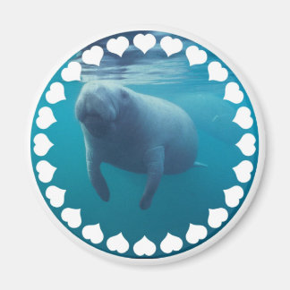 Manatee Magnet Magneet