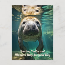 Manatee Marvel:  Manatee