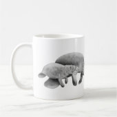 Manatee moeder met Mok Calf (Links)
