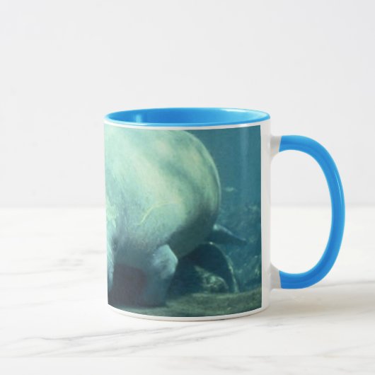 Manatee Mok (Rechts)