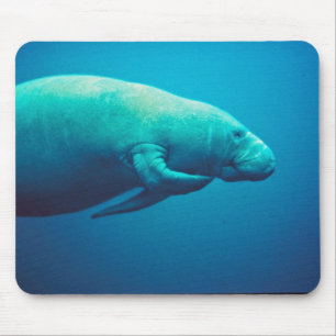 Manatee Scratching Muismat