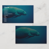 Manatee Scratching Visitekaartje (Voorkant / Achterkant)