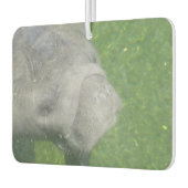 Manatee Smiles Luchtverfrisser (Links)