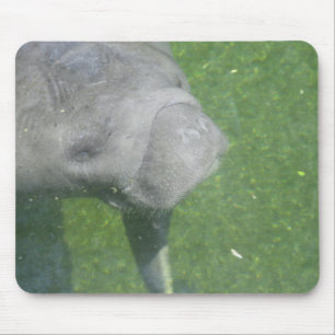 Manatee Smiles mousepad Muismat