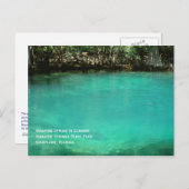 Manatee Springs-Briefkaart Briefkaart (Voorkant / Achterkant)