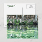 Manatee Springs Fl Briefkaart (Voorkant / Achterkant)