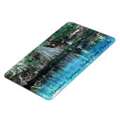 Manatee Springs Fl Flexi Magnet (Côté Gauche)
