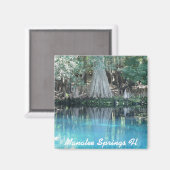 Manatee Springs Fl Magnet (Recto/Verso)