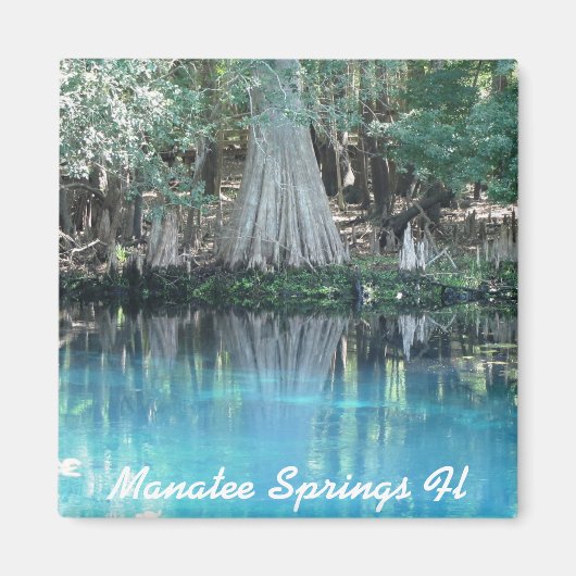 Manatee Springs Fl Magnet (Devant)