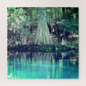 Manatee Springs Florida Puzzle (Vertical)