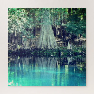 Manatee Springs Florida Puzzle Legpuzzel