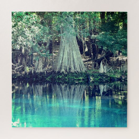 Manatee Springs Florida Puzzle Legpuzzel (Verticaal)