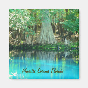 Manatee Springs Magnet Magneet