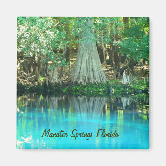 Manatee Springs Magnet Magneet