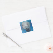 Manatee Stickers (Envelop)