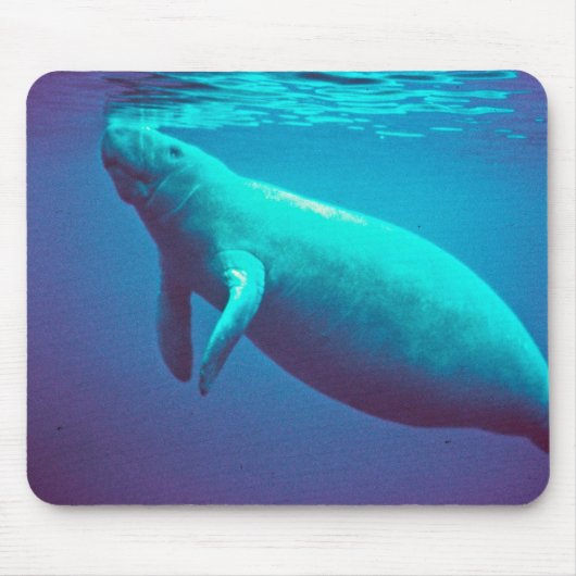 Manatee Surface to Breathe Muismat (Voorkant)