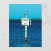 Manatee Zone Briefkaart (Voorkant)