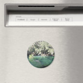 Manatees bij Blue Springs Magnet Magneet (Insitu (Vaatwasser))