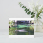 Manatees Briefkaart (Staand voorkant)