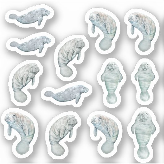 Manatees Custom Vinyl Sticker Sheet 3" (Devant)